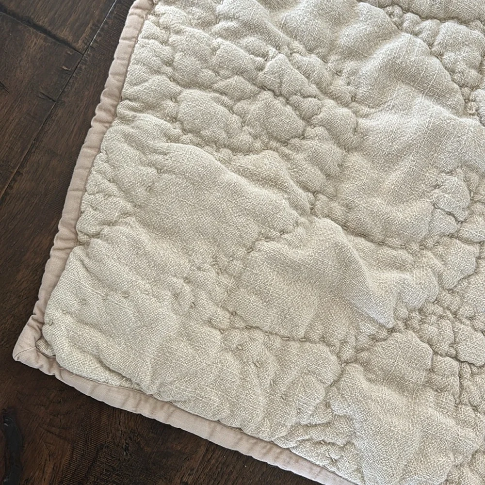 Pottery Barn Beige Textured Organic Thick Cotton Pickstitch King Pillow Sham (1)
